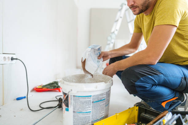 Best Water-Damaged Drywall Repair  in Cass City, MI