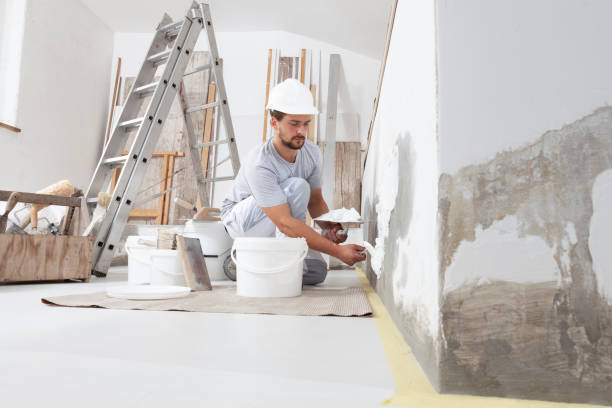 Best Remodeling Drywall  in Cass City, MI